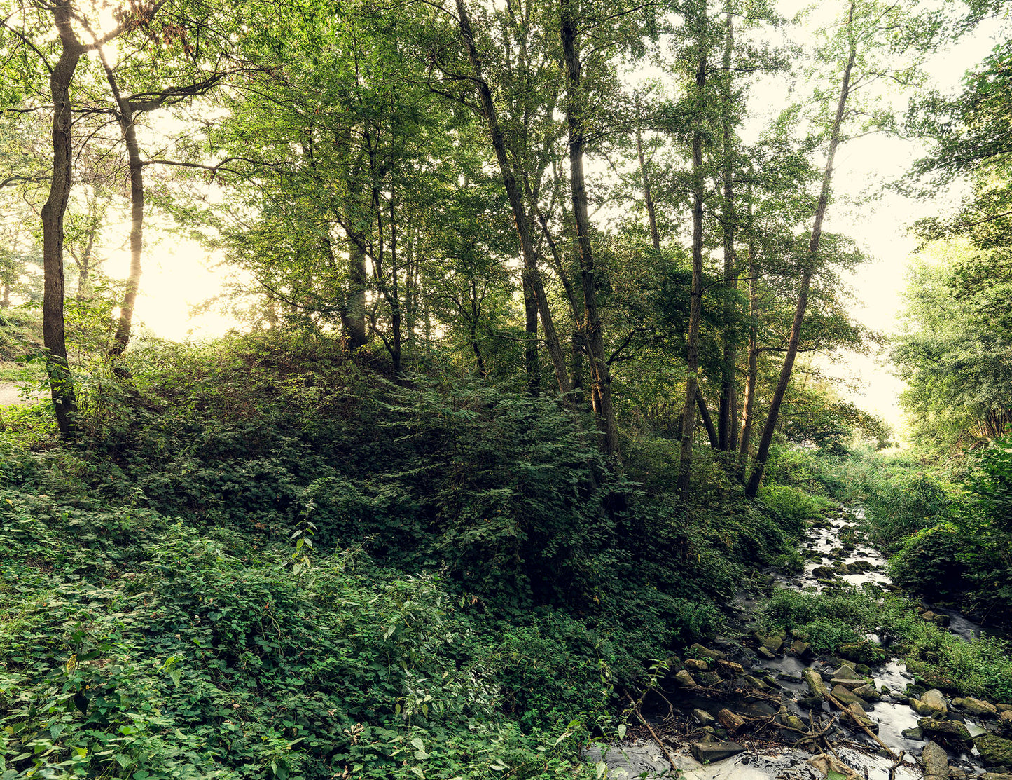 Musschenberg