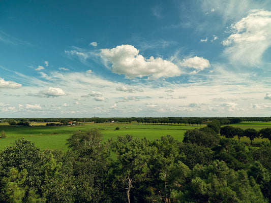 Clouds